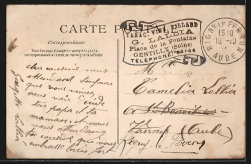 AK Kremlin-Bicêtre, Vue Panoramique de l`Hospice