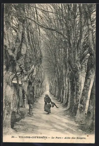 AK Villers-Cotterêts, Le Parc, Allée des Soupirs