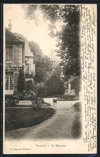 AK Vauxbuin, La Roisanne avec une maison de campagne et un chien sur le chemin