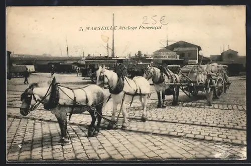 AK Marseille, Attelage Provencal devant le port