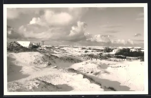 AK Wangerooge, Dünenlandschaft mit Häusern