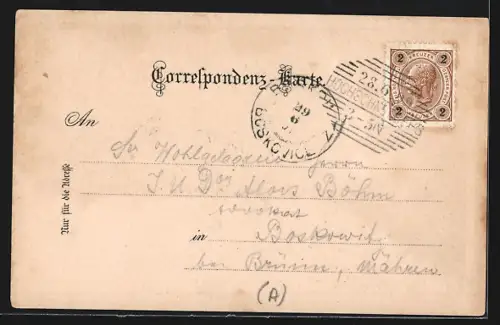 Lithographie Puchberg am Schneeberg, Schneeberg im Winter