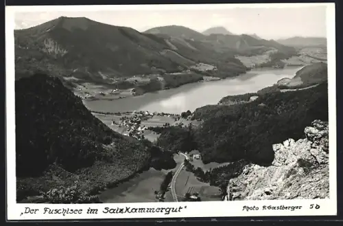 AK Fuschl a. See, Panorama des Fuschlsees