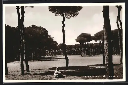 AK Beyrouth, Forêt des Pins