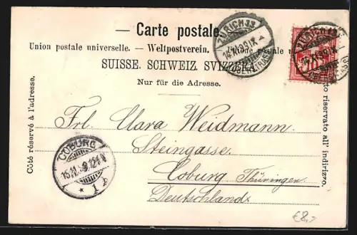 Lithographie Zürich, Stadtansicht im Passepartout mit Segelboot und Fischen