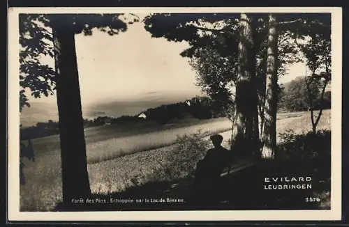 AK Evilard / Leubringen, Teilansicht von einer Anhöhe aus