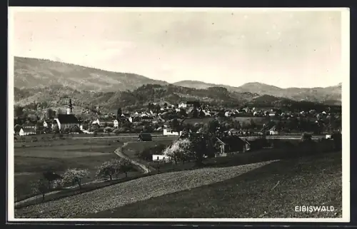 AK Eibiswald, Teilansicht mit Kirche
