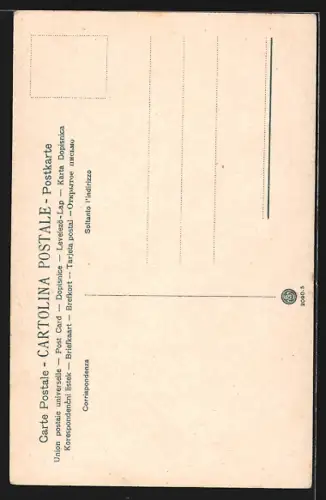 AK Vatikan, Guardia Nobile pontificia in alta tenuta