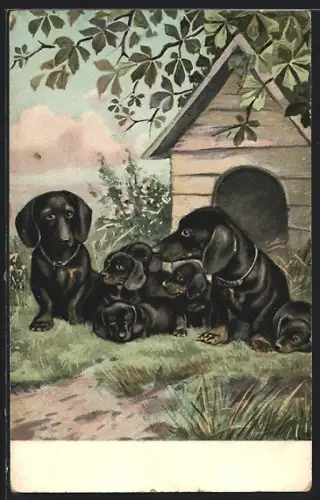 Künstler-AK Dackel mit ihren Welpen vor einem Hundehaus