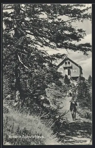 AK Arber-Schutzhaus, Blick zur Berghütte vom Weg aus