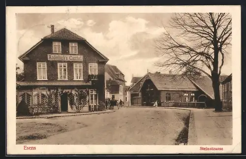 AK Esens, Steinstrasse, Rodenbäck's Gasthof, Pferdekutsche