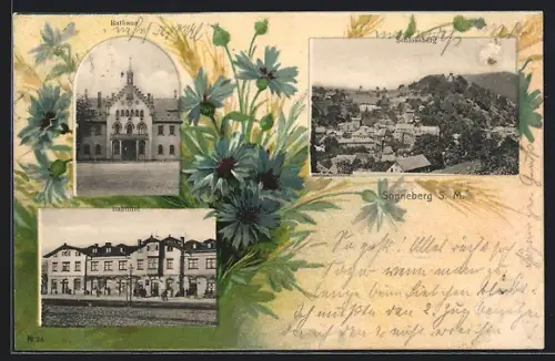 Passepartout-AK Sonneberg / Thüringen, Rathaus, Bahnhof und Schlossberg