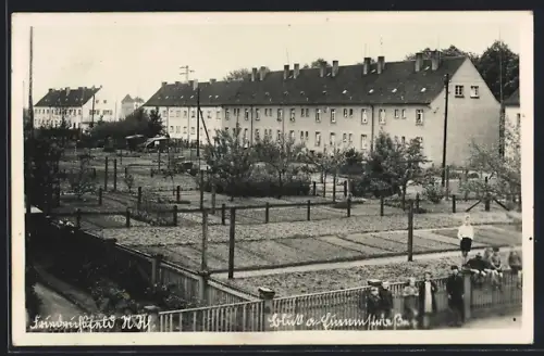 Foto-AK Friedrichsfeld /Mannheim, Wohnhäuser in der Einemstrasse