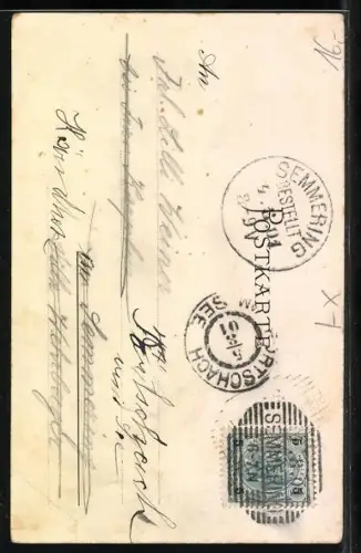 Lithographie Prags, Hotel Wildsee Prags Frau Emma, Nelken