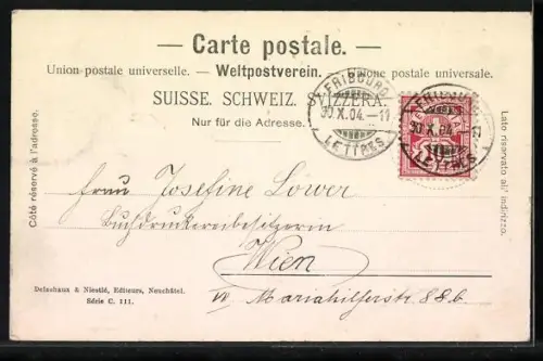 AK Fribourg, Vue générale