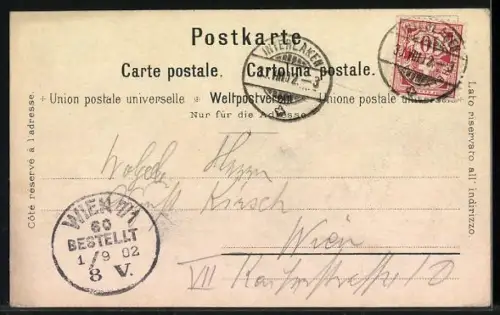 Künstler-AK C. Steinmann: Interlaken, Teilansicht mit der Jungfrau