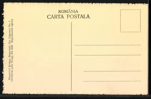 AK Bucuresti, Vederea Generala