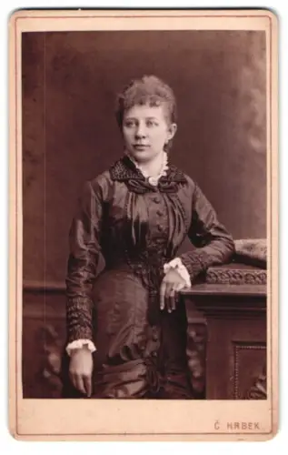 Fotografie C. Hrbek, Pilsen, Solms-Gasse 11, Porträt einer eleganten Dame