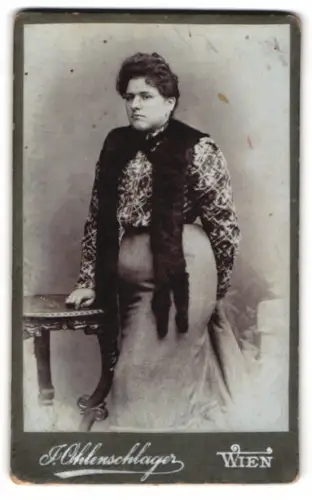 Fotografie J. Ohlenschlager, Wien, Viertelhergasse 5, Dame in elegantem Kleid