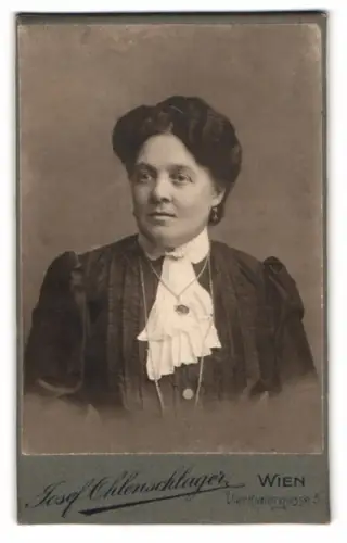 Fotografie Josef Ohlenschläger, Wien, Vierthalergasse 5, Porträt einer Dame mit Hochsteckfrisur