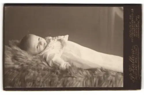 Fotografie P. Zallow, Berlin, Kottbusserdamm 29, Porträt eines liegenden Babys