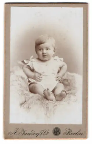 Fotografie A. Jandorf & Co., Berlin, Spittelmarkt 16/17, Porträt eines Kleinkinds