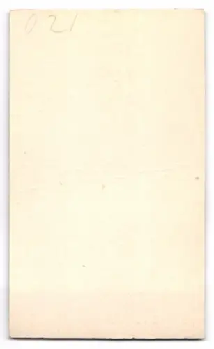 Fotografie Wertheim, Berlin, Rosenthalerstrasse, Porträt einer älteren Dame