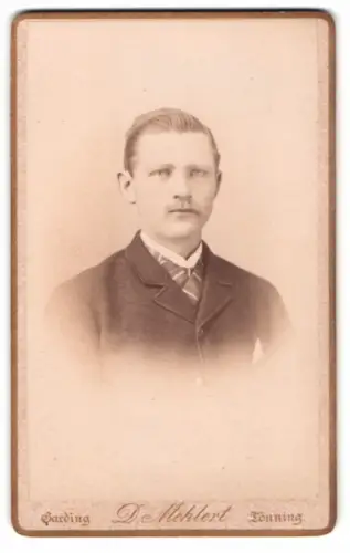 Fotografie D. Mehlert, Garding, Tönning, Porträt eines eleganten Herrn