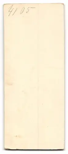 Fotografie A. Wertheim, Berlin, Rosenthalerstr., Elegante Dame im Studio