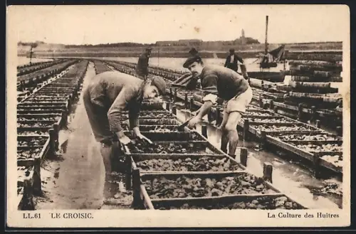 AK Le Croisic, La Culture des Huîtres, Austernkultur