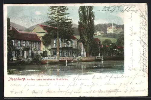 AK Ilsenburg, Hotel zu den roten Forellen u. Waldhohe