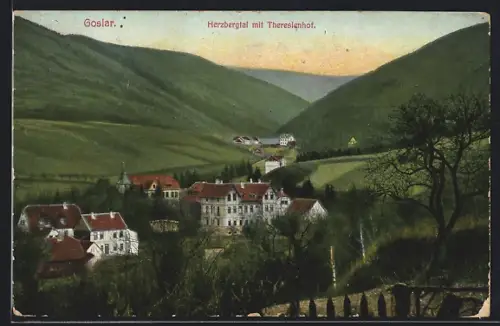 AK Goslar, Blick in den Herzbergtal mit Theresienhof