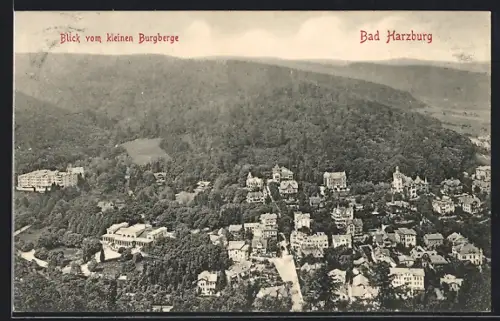 AK Bad Harzburg, Blick vom kleinen Burgberge