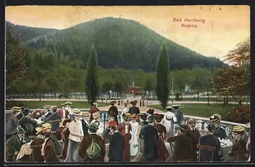 AK Bad Harzburg, Terrassenblick zum Burgberg
