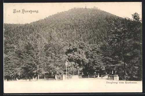 AK Bad Harzburg, Burgberg vom Kurhaus aus gesehen