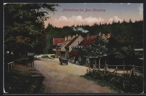 AK Bad Harzburg, Gasthof Molkenhaus am Waldrand