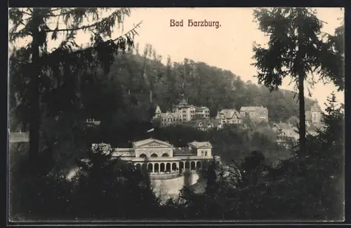 AK Bad Harzburg, Blick auf den Ort