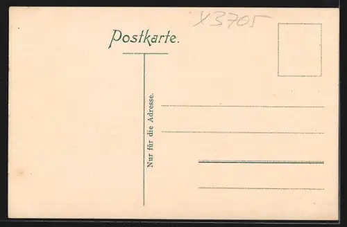 AK Ilsenburg i. Harz, Ortspartie am Teich