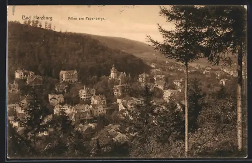 AK Bad Harzburg, Villen am Papenberge