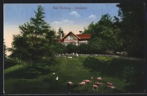 AK Bad Harzburg, Gasthof Sennhütte mit Weide