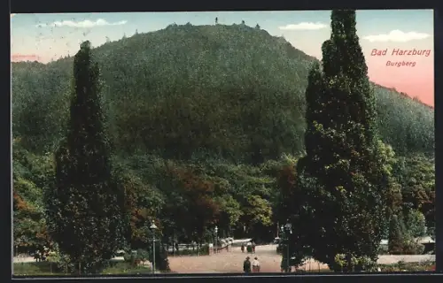 AK Bad Harzburg, Burgberg mit Passanten