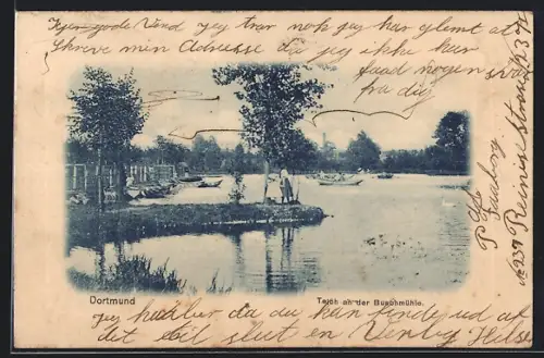 AK Dortmund, Teich an der Buschmühle mit Booten