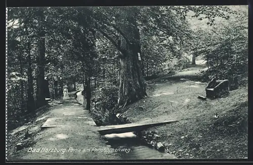 AK Bad Harzburg, Partie am Philosophenweg