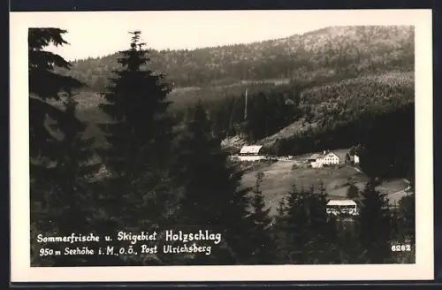 AK Holzschlag /O.Ö., Teilansicht vom Wald aus gegen den Höhenzug