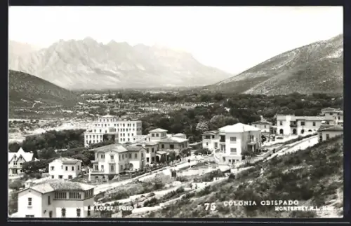 AK Monterrey, Colonia Obispado, Vista general