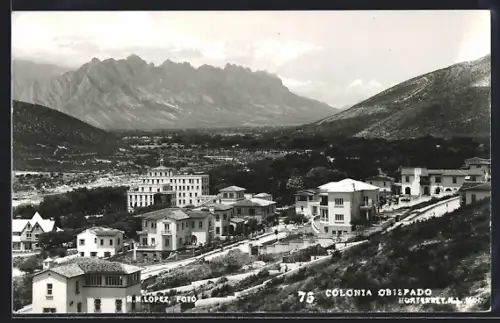 AK Monterrey, Colonia Obispado, Vista General