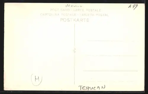 AK Tehucan, Fangues del Balneario de Garci Crespo Pue.