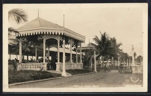 AK Veracruz, Vista general