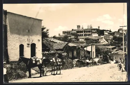 AK Cuernavaca, Vista Parcial