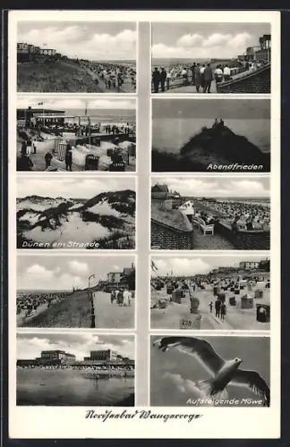 AK Wangerooge, Dünen am Strande, Promenade, Abendfrieden, aufsteigende Möwe